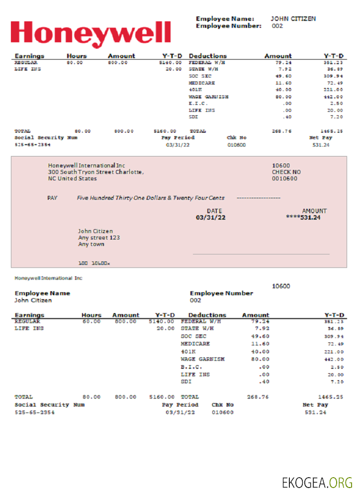 Fiche de paie de la société du conglomérat Honeywell aux États Unis PSD